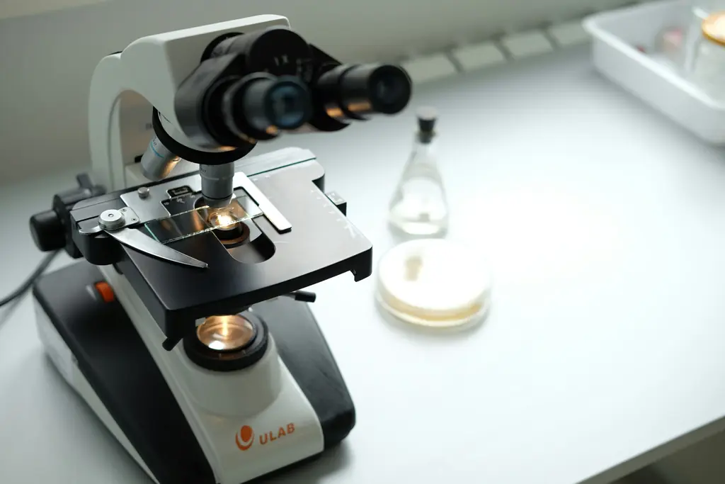A microscope on a laboratory bench